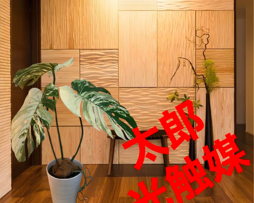 光触媒人工観葉植物ウォールグリーンフェイクグリーンシーグレープ17