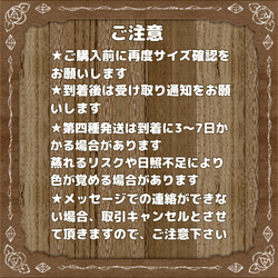 多肉 おまかせ寄せ植え 【 オーダー】 11枚目の画像