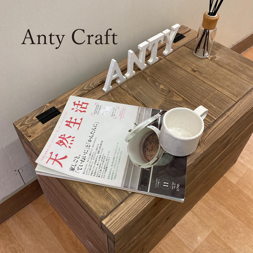 サイズオーダー可】【引取可能】コンパクトな収納ベンチ（天蓋1体型