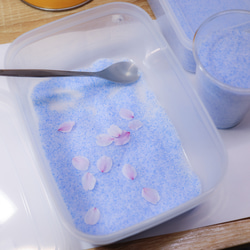 桜ドライフラワー(花びら50枚) 2025年春開花東京産ソメイヨシノを使用 本物のさくら 13枚目の画像