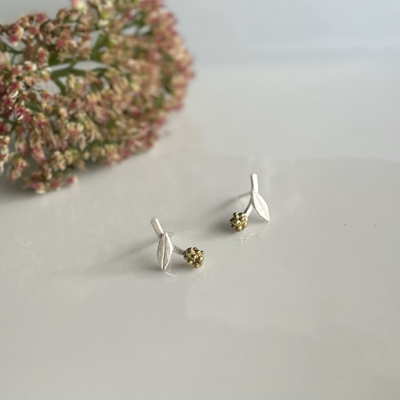 小さなハハコグサピアス ＜シルバー×真鍮＞ 1枚目の画像