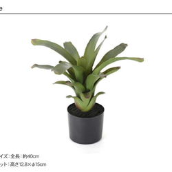 フェイクグリーン フリーセア ポット 40cm 人工観葉植物 2枚目の画像