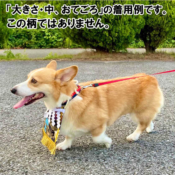 【おてごろ・中】ワンちゃん化粧まわし《雅な花と扇と鶴・赤》【名入れOK】中型犬こどもの日・端午の節句・初節句記念撮影衣装 9枚目の画像