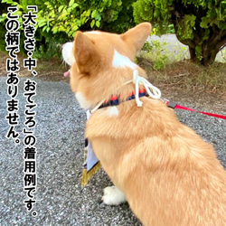 【おてごろ・中】ワンちゃん化粧まわし《雅な花と扇と鶴・赤》【名入れOK】中型犬こどもの日・端午の節句・初節句記念撮影衣装 12枚目の画像