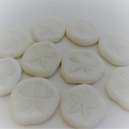 自然素材エコクラフト 貝殻］ no,034 サンドラー（ウニ殻） その他素材