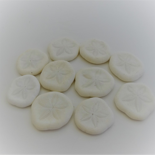 貝殻　サンゴ 自然素材エコクラフト 貝殻］ no,034 サンドラー（ウニ殻） その他素材