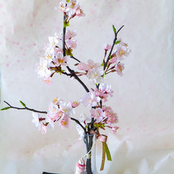 桜 ～ 薄紅色の春待ち桜 (L)【特別企画】送料お値引き価格 ～ガラス器と桜色の透明ジェルの桜インテリア・無料ラッピング 1枚目の画像