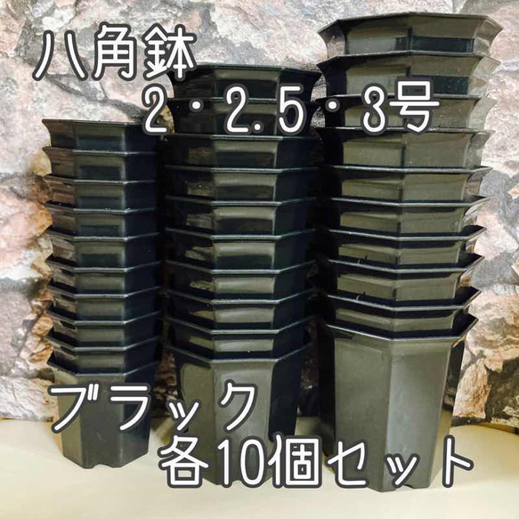 八角鉢黒セット◎各10個◎2号・2.5号・3号 アガベ 多肉植物 園芸 多肉
