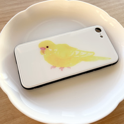 p-jet　セキセイインコ　ルチノー　（強化ガラス　スマホケース  iPhone ） iPhone15　/ 鳥 インコ 2枚目の画像