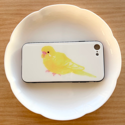 p-jet　セキセイインコ　ルチノー　（強化ガラス　スマホケース  iPhone ） iPhone15　/ 鳥 インコ 1枚目の画像