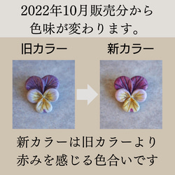 野に咲くビオラのブローチ*原種カラー2 3枚目の画像