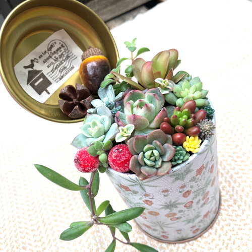 造花♪多肉植物と小花♪ 造花♪多肉植物と小花♪