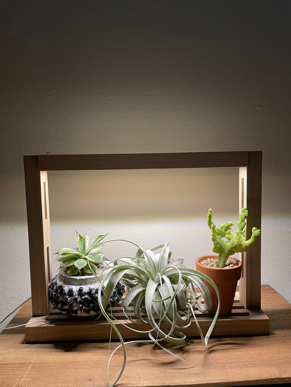 新作！植物育成LEDライト［ミニタモ］ 2枚目の画像