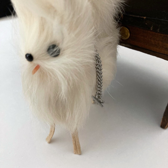 昭和のレトロふわふわのリアルファー犬　ギスピッツ人形　ギフト　犬好き　 北欧暮らしの道具 テディベア　 6枚目の画像