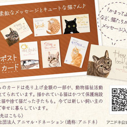 「おすわりネコ缶」ポストカード付き（ポストカードの売上金の一部がチャリティーとして寄付されます。）猫の日2023 3枚目の画像