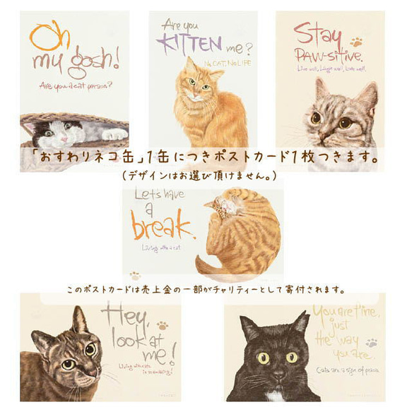 「おすわりネコ缶」ポストカード付き（ポストカードの売上金の一部がチャリティーとして寄付されます。）猫の日2023 4枚目の画像