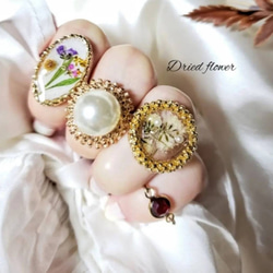 沢山散らばったドライフラワーリング︎︎ ◌ 指輪・リング くるみ 通販