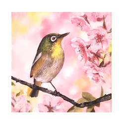 アクリル画（山桜） 山桜 アクリル画原画 20cm - メルカリ
