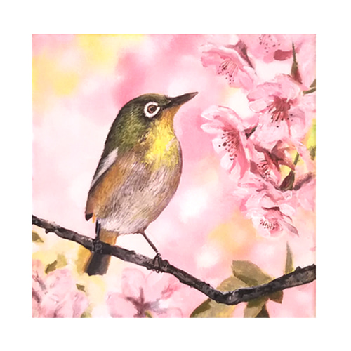 桜とウグイス ＃アート ＃絵画 ＃原画 ＃アクリル画 20cm角 絵画