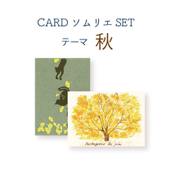 CARDソムリエSET＊秋 1枚目の画像