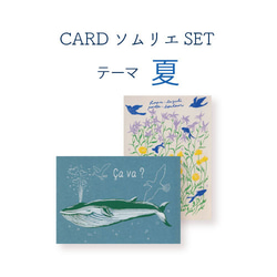 CARDソムリエSET＊夏 1枚目の画像