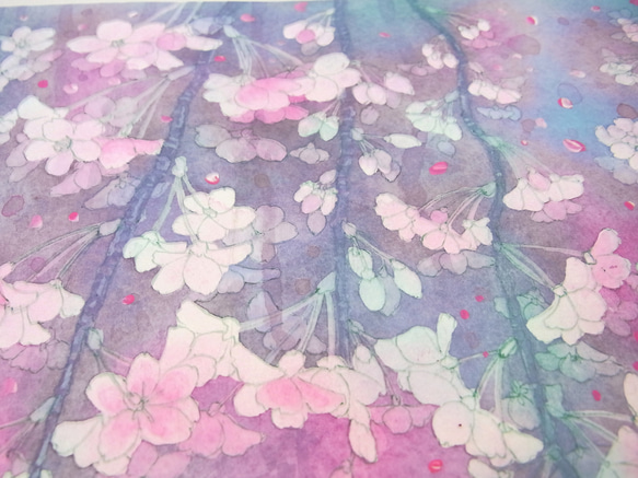 【原画】桜の呼吸　●クーポン利用不可 12枚目の画像