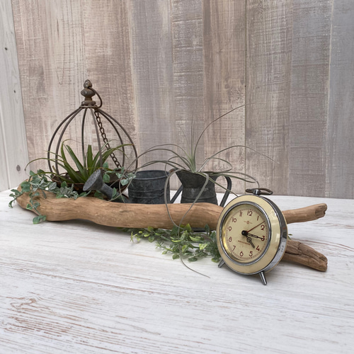 流木インテリア オブジェ ディスプレイ 1070400005 その他インテリア