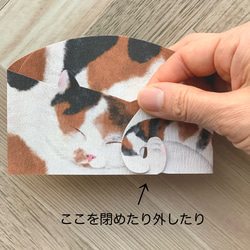 まるまる猫のぽち袋 2枚入 4枚目の画像