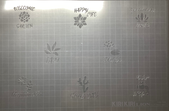 2号鉢サイズ　ステンシルシート　多肉植物　no127 2枚目の画像