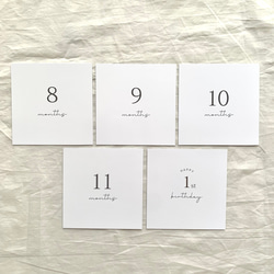 【simple】月齢カード　マンスリーカード　14枚セット　ましかく　アルバス対応 3枚目の画像