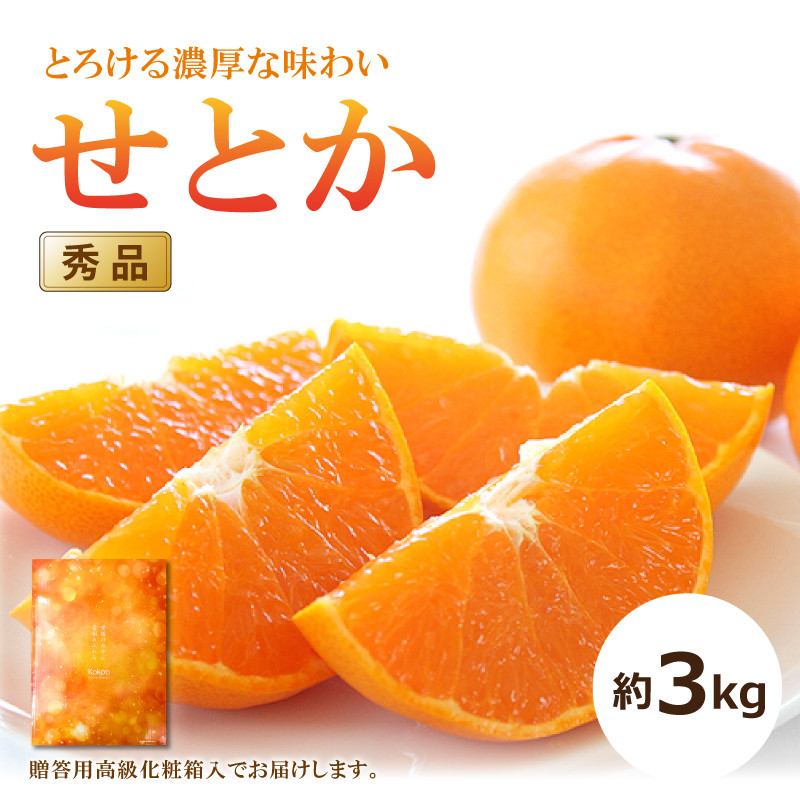 【予約】【送料無料】せとか〈秀品・高級化粧箱入〉約３kg　※2月中旬頃より順次発送開始予定