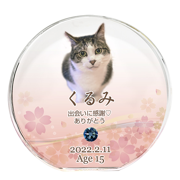 【送料無料】クリスタル　ペット位牌／華　カラー　ペット仏具 　ペット　位牌　供養　犬　猫　可愛い　おしゃれ　人気　遺影 3枚目の画像