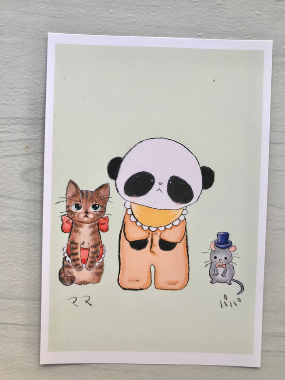 パンダと仲間達ポストカード×4枚組 4枚目の画像