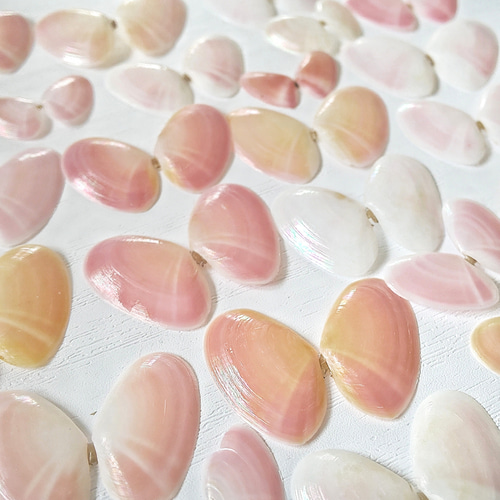 幸せを呼ぶ桜貝のネックレス｡*・ﾟﾟmarry.c's handmadeaccessory