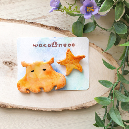 メンダコちゃんとヒトデ 陶器ブローチセット/陶器製 めんだこ 海洋生物