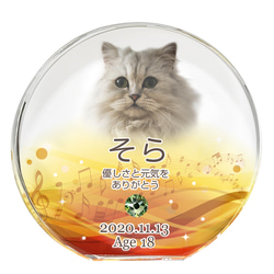 【送料無料】クリスタル　ペット位牌／空　カラー　ペット仏具 　ペット　位牌　供養　犬　猫　可愛い　おしゃれ　人気　遺影 3枚目の画像