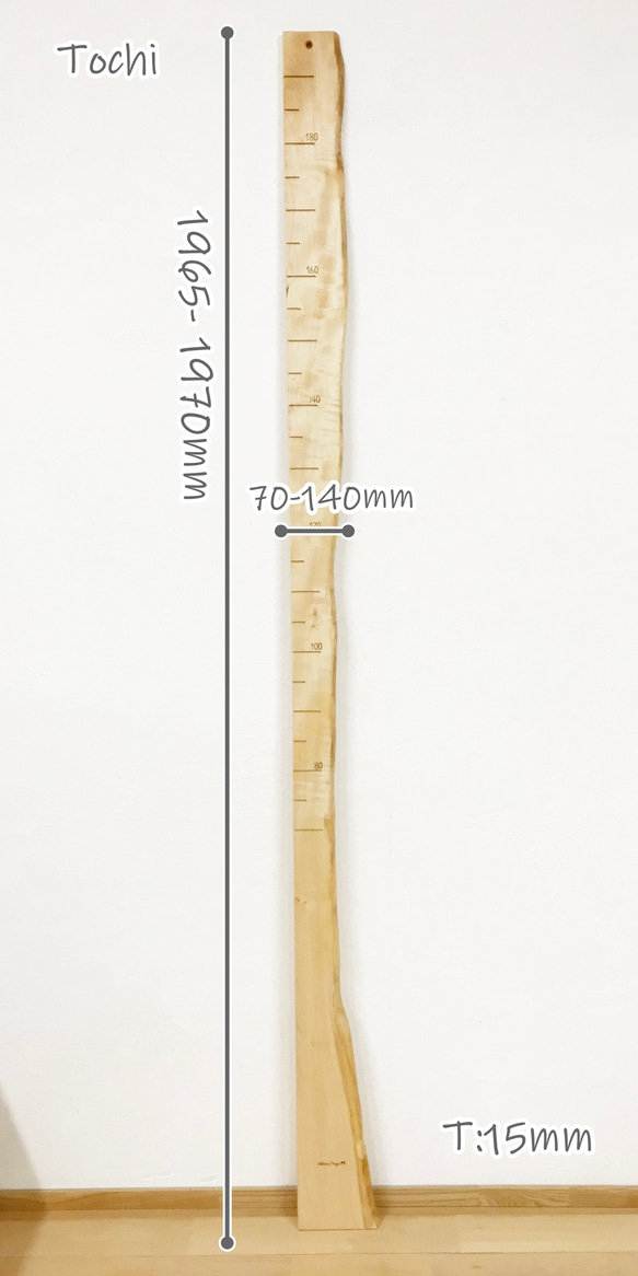 【木の身長計　耳付き材】とち／N-SIN-TC-30　お子さまの成長を見守る 3枚目の画像