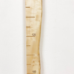 【木の身長計　耳付き材】とち／N-SIN-TC-30　お子さまの成長を見守る 5枚目の画像