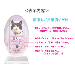 【送料無料】クリスタル　ペット位牌／華　カラー　ペット仏具 　ペット　位牌　供養　犬　猫　人気　遺影　オーダーメイド 6枚目の画像