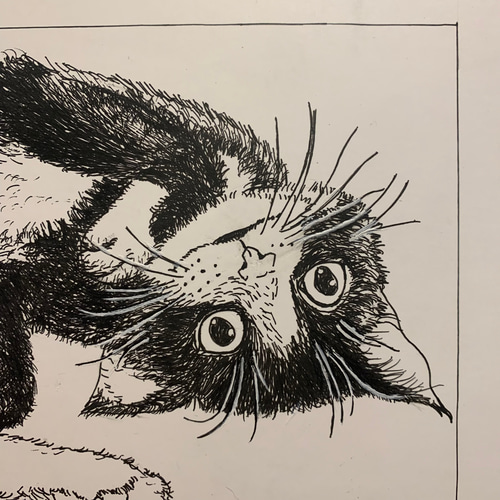 絵/絵画/A4/原画/手書き/ペン画/アクリル/猫/ハチワレ/イラスト