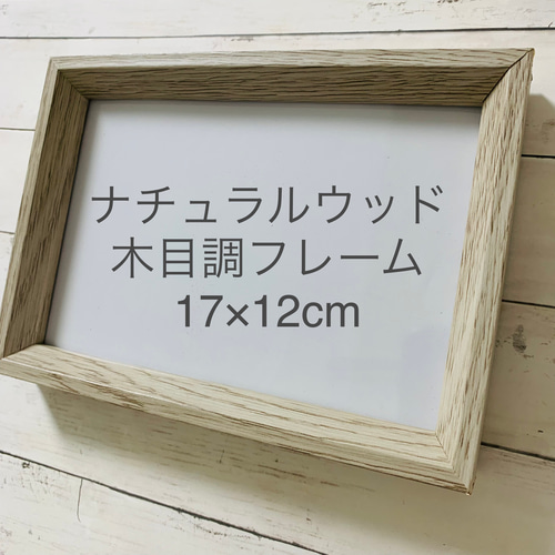 シーグラスアート インテリア雑貨 北欧 パネルヒーリング 観葉