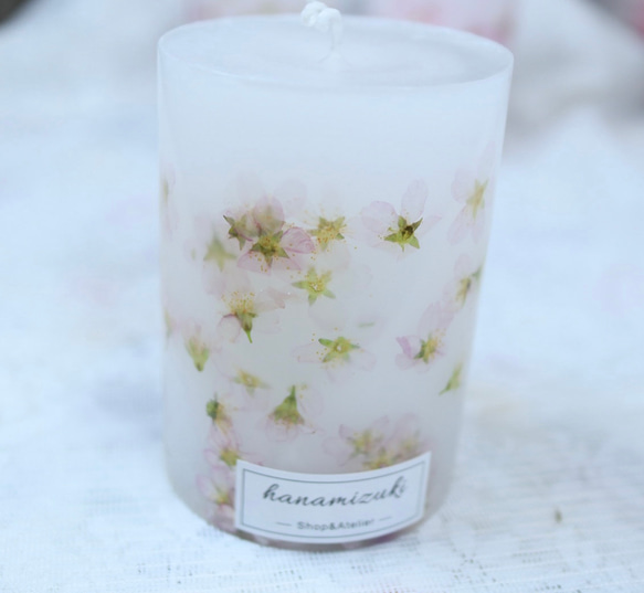 押し花桜ボタニカルキャンドル キャンドル・キャンドルホルダー 花