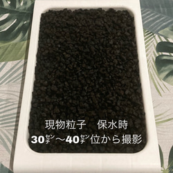 洗浄・上級簡易選別品『富士砂［小粒］900g』 4枚目の画像
