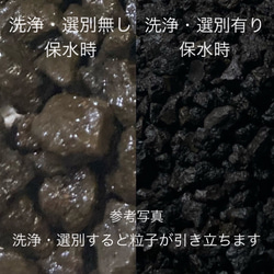 洗浄・簡易選別品『富士砂［中粒〜大粒］900g』 11枚目の画像