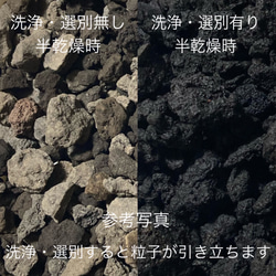 洗浄・簡易選別品『富士砂［中粒〜大粒］900g』 12枚目の画像