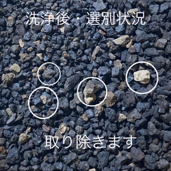 洗浄・簡易選別品『富士砂［中粒〜大粒］900g』 10枚目の画像