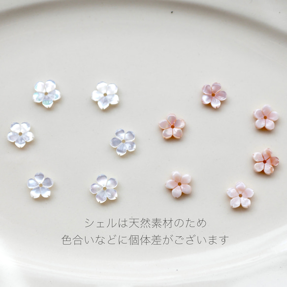 【期間限定】10種から選べるシェルの小さな桜ピアス　シンプル　サージカルステンレス　セミオーダー　春　小さい 6枚目の画像