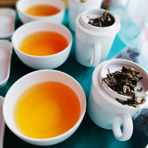 イラムオーガニックティー　500g イラム紅茶（オーガニック）ネパール ティーパック プレゼント