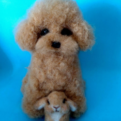 羊毛フェルト犬 トイプードルとうさぎ人形 2枚目の画像