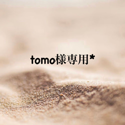 tomo様専用* 1枚目の画像